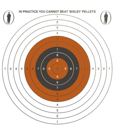 Bisley 14cm Single Targets