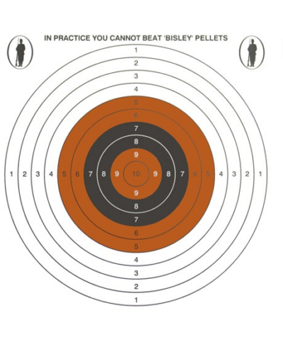 Bisley 17cm Single Targets