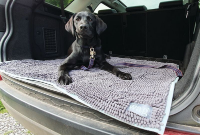 Microfibre Noodle Pet Mat by Henry Wag