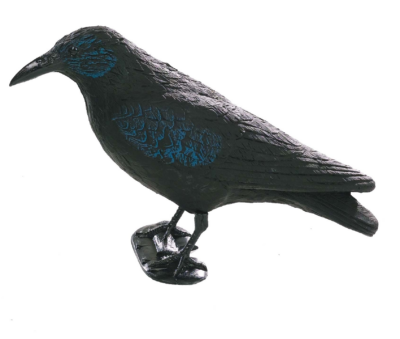 Crow Decoy