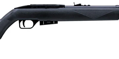 Crosman 1077 CO2 Rifle Plastic Stock