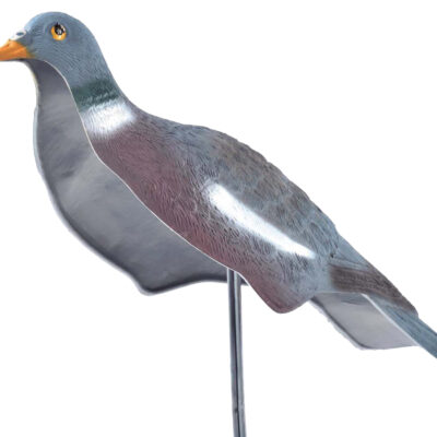 Flocked Feeder Wood Pigeon Shells Set of 4