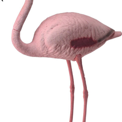 Flamingo with Legs & Base