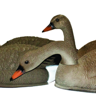 SH2P 250 Shells Bean Goose Set of 6