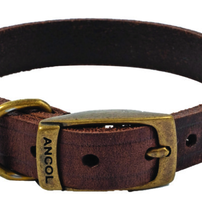Dog Collar Heritage Leather Havana