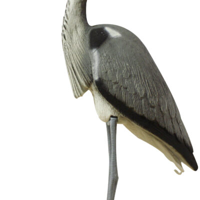 Heron with Legs & Base