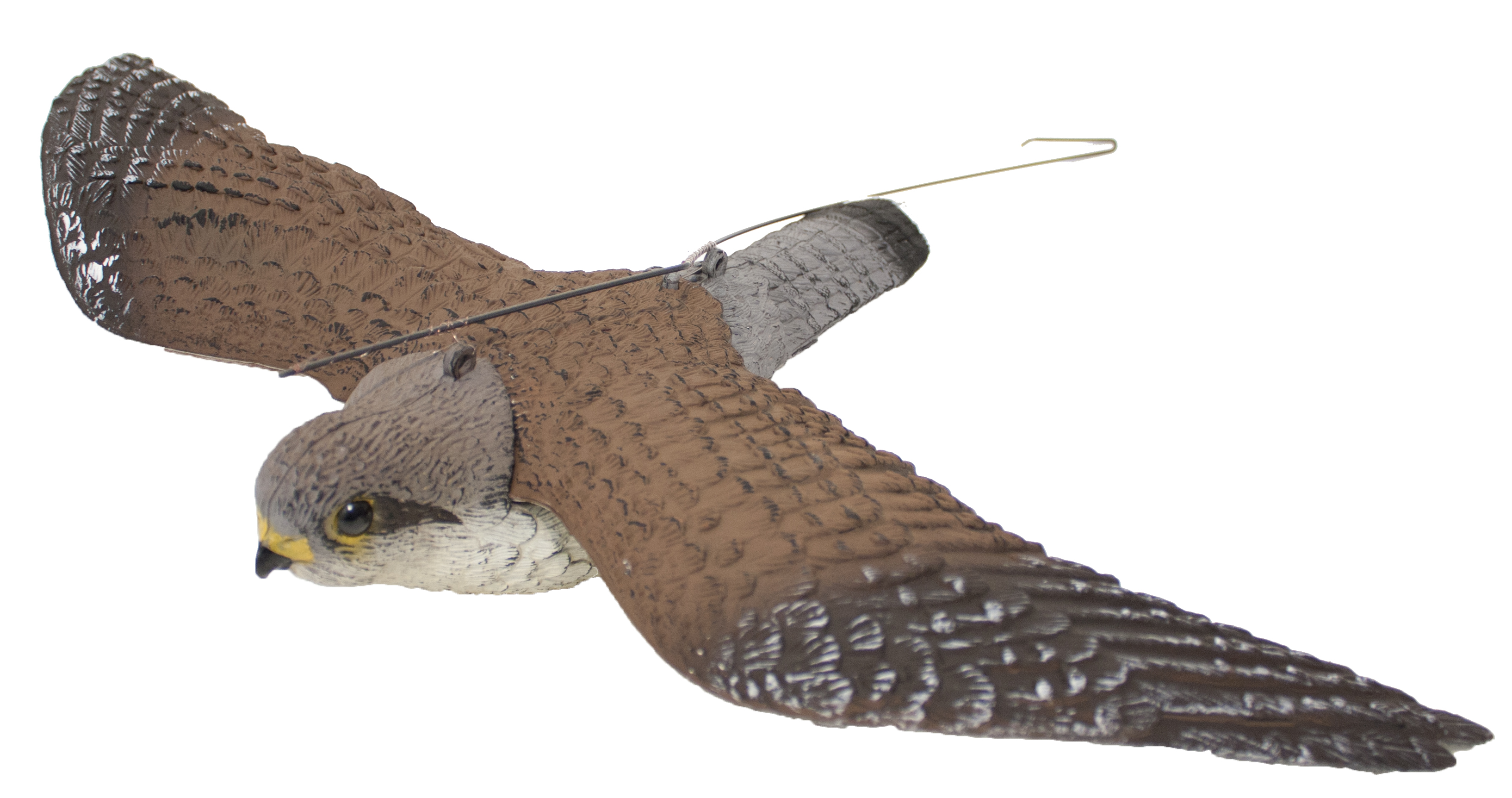 (67-00) Flying Kestrel