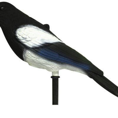 Magpie with Stake