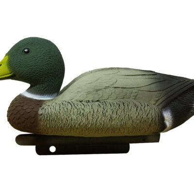 LC01 Mallard Drake Economy