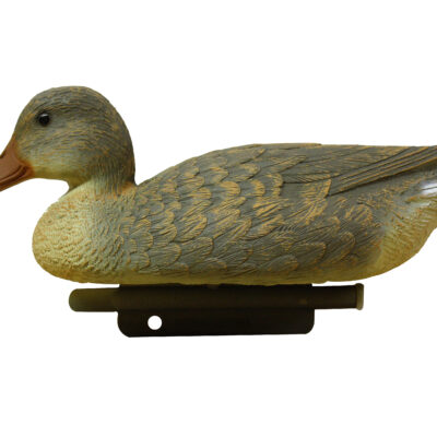 LC02 Mallard Hen Economy