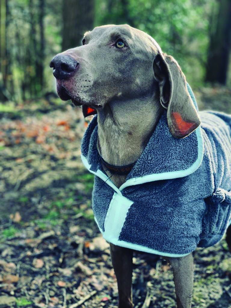 Microfibre Drying Coat by Henry Wag