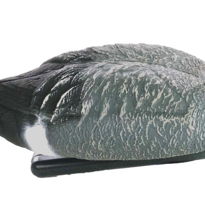 STD03 Pintail Drake