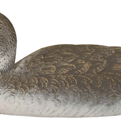 STD04 Pintail Hen