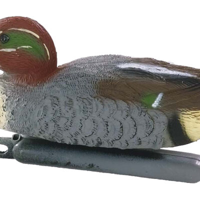 Teal Drake