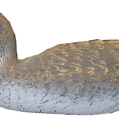 Teal Hen