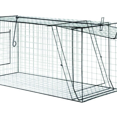 WSL Fold Flat Fox Trap