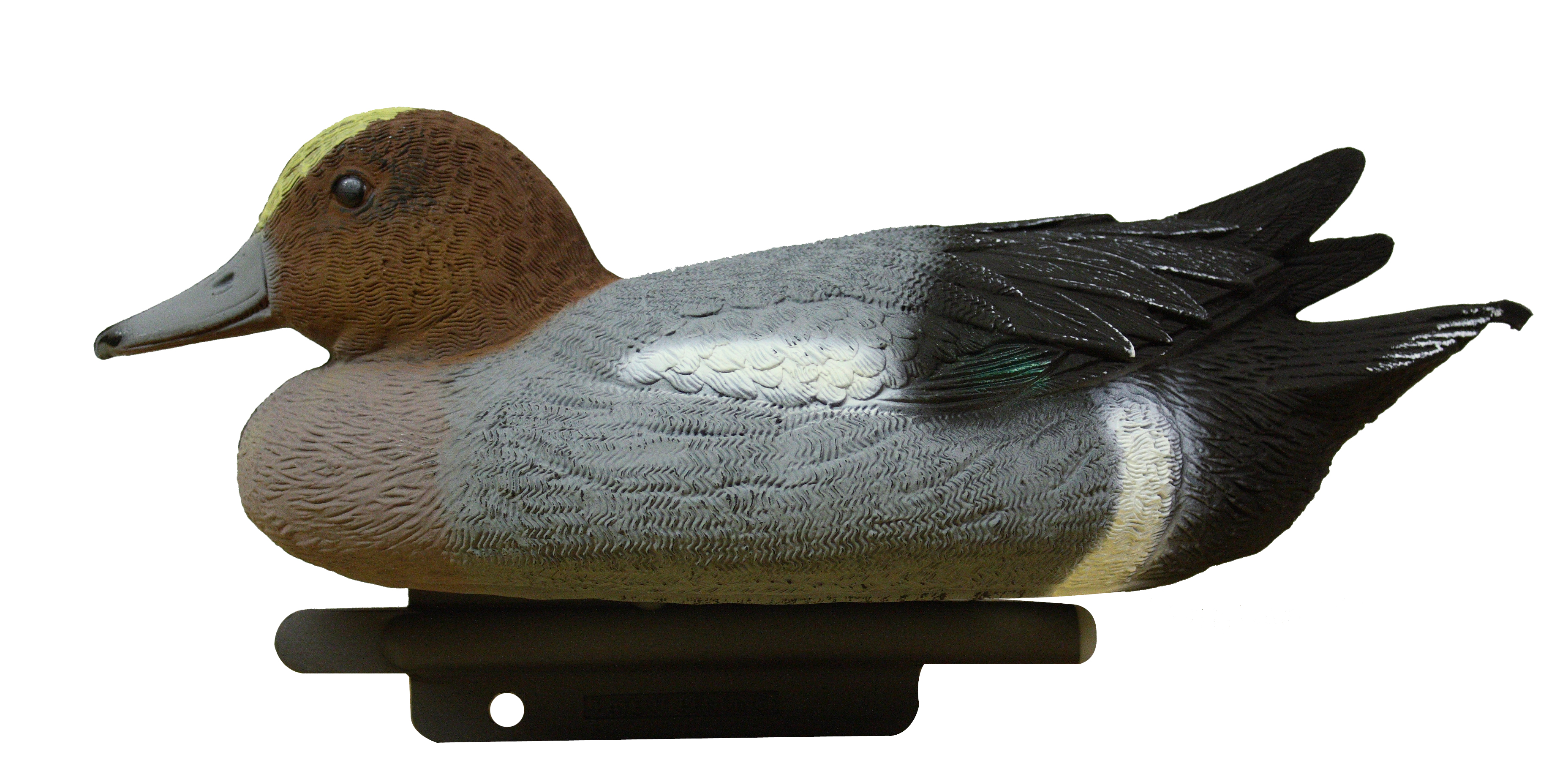 WSL OS 05 Widgeon Drake