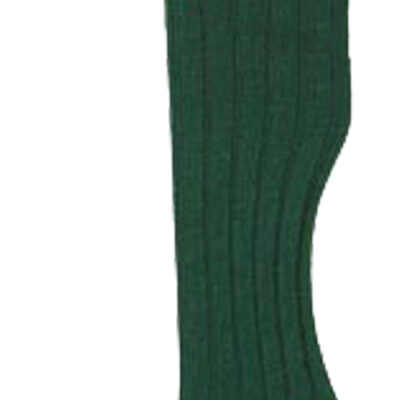 No.10 Stockings Bottle/Red by Bisley