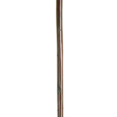 Natural Chestnut Crook Handle Stick