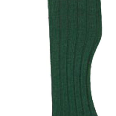 No.13 Stockings Olive/Cassat by Bisley