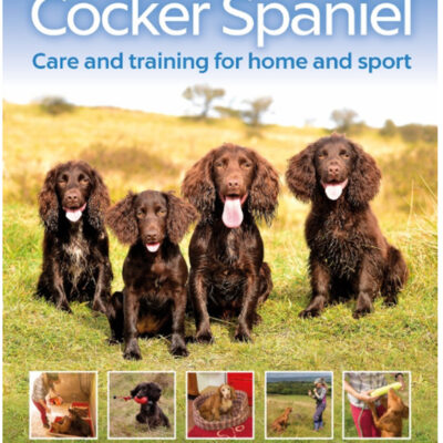 Pewter S Figurine Cocker Spaniel