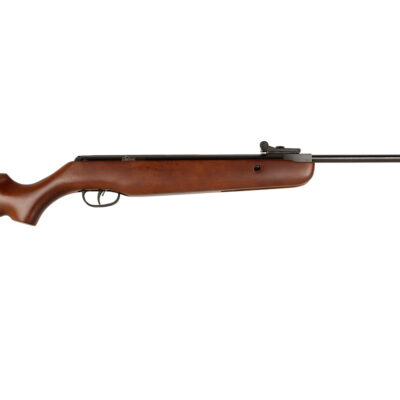 Crosman Copperhead .177 wood