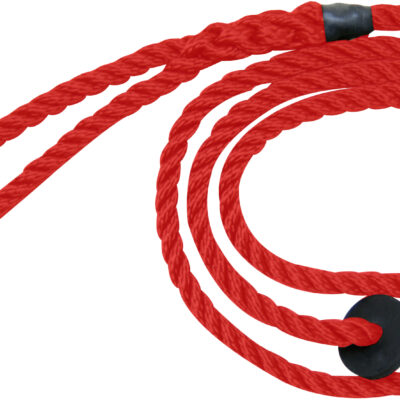 Deluxe Bisley Dog Slip Lead