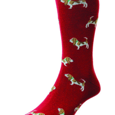 Hounds Socks by Bisley