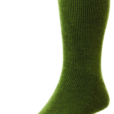 Rambler Socks Green by Bisley