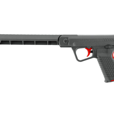 WSL 2.4391 UX SPA 100 Pellet Pistol